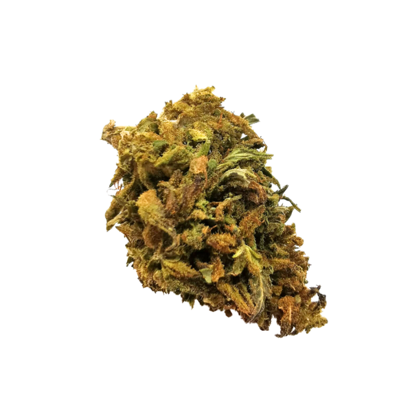 JASMINE THERAPY | Fleur de cannabis CBD