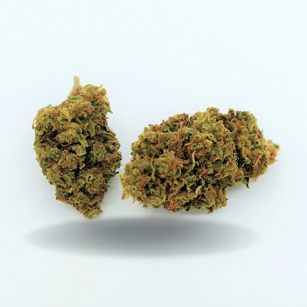 JACK HERER - Fleur de cannabis CBD