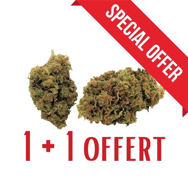JACK HERER | Fleur de cannabis dès 2€/gr