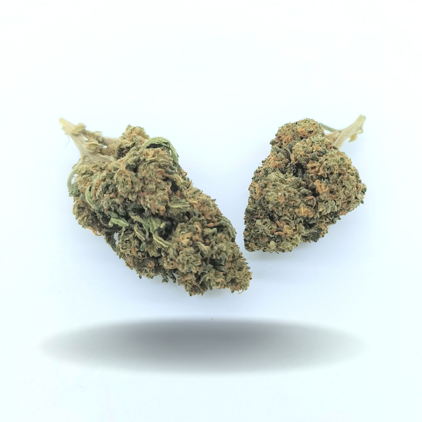 GELATO | Fleur de cannabis dès 2€/gr