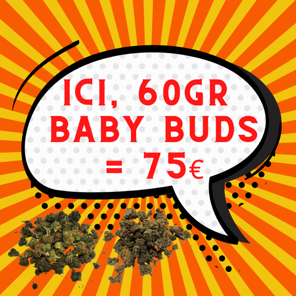 60gr Baby buds | au choix | 1.25€/gr