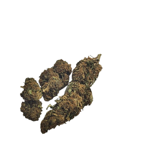 ORANGE BUD | Fleur de cannabis dès 2€/gr
