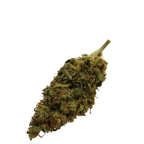 HONEY KUSH | Fleur de cannabis CBD