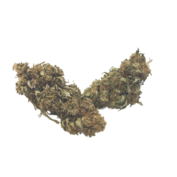 CBG LIME | Fleur de cannabis CBG à partir de 1€ le gramme!