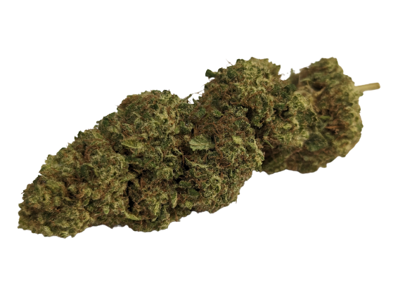 SUPRA LEMON | Fleur de cannabis