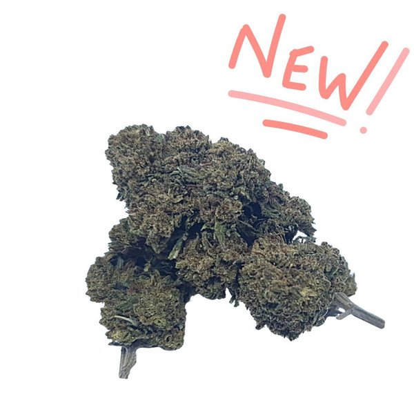 KIWI SKUNK - Fleur de cannabis CBD