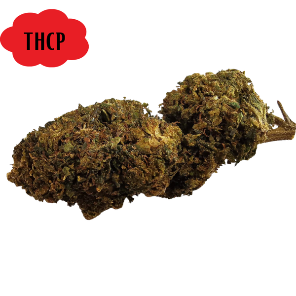 Baby buds TROPICAL THCP | 10gr