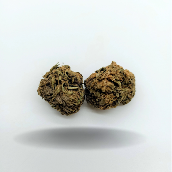 TROPICAL HAZE - Fleur de cannabis CBD