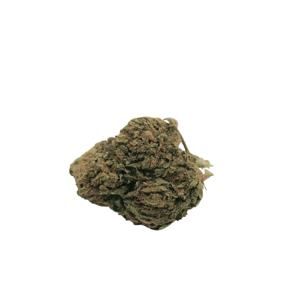 TROPICAL HAZE - Fleur de cannabis CBD