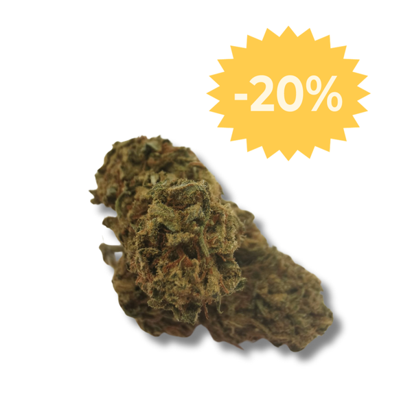 KIWI KUSH | Fleur de cannabis CBD dès 2.16€/gr