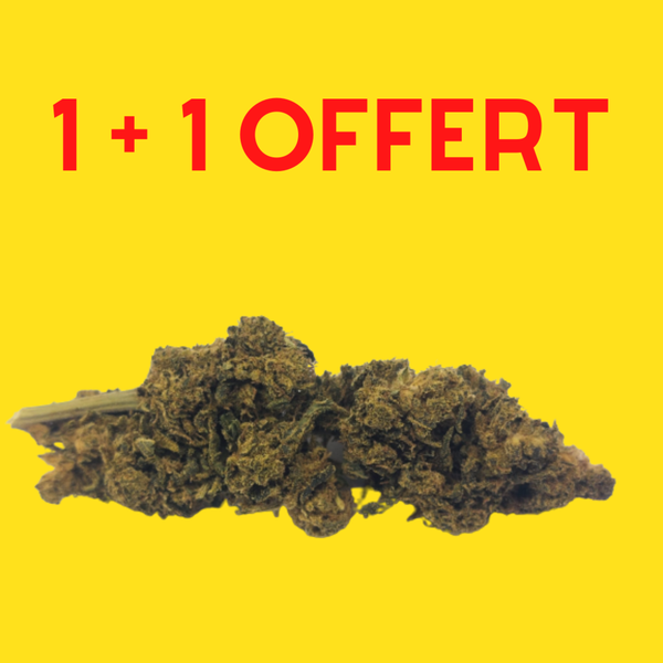 TANGERINE | Fleur de cannabis CBD dès 2€/gr