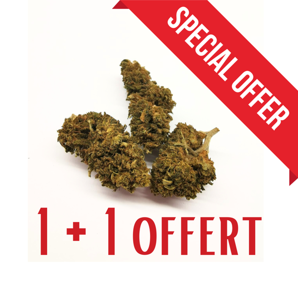 CHERRY PIE | Fleur de cannabis CBD dès 1€/gr