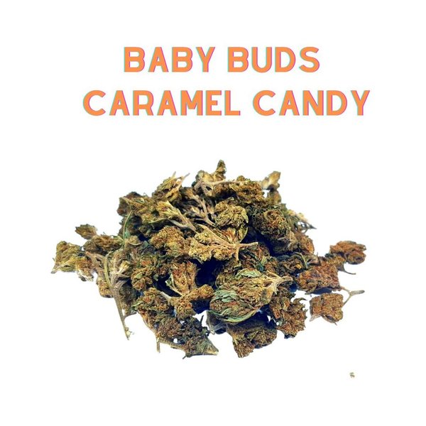 Baby buds CARAMEL CANDY | Fleur de cannabis CBD à partir de 1,25€ le gramme