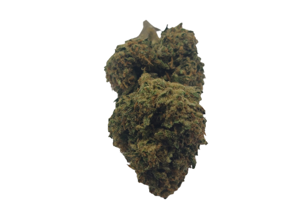 HARLEYQUEEN  | Fleur de cannabis