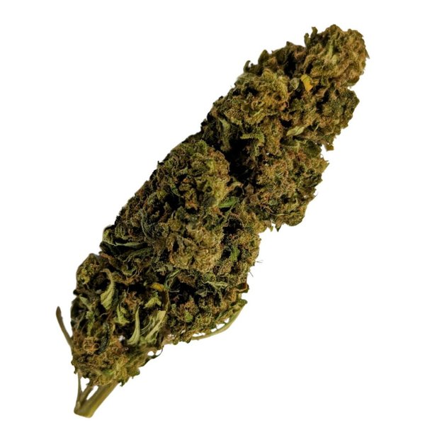 CHARLOTTE WEB | Fleur de cannabis dès 2.75€/gr